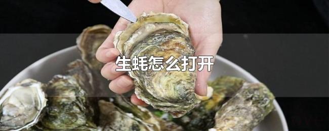 生蚝怎么打开 生蚝怎么打开
