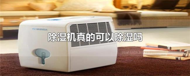 除湿机真的可以除湿吗 除湿机真的可以除湿吗