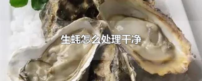 生蚝怎么处理干净