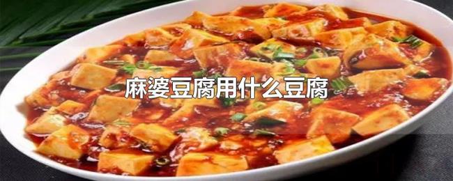 麻婆豆腐用什么豆腐 麻婆豆腐用什么豆腐