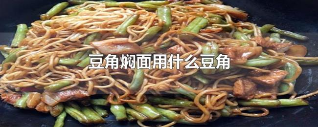 豆角焖面用什么豆角 豆角焖面用什么豆角