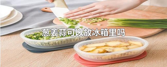 葱姜蒜可以放冰箱里吗 葱姜蒜可以放冰箱里吗