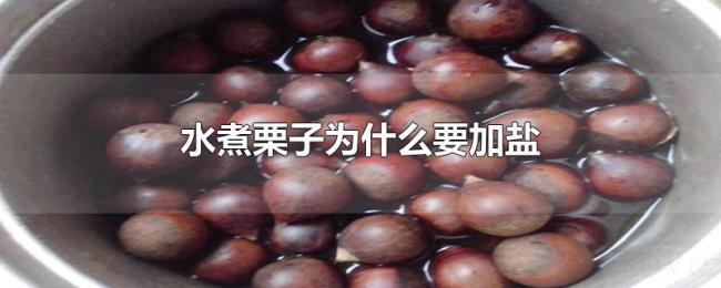 水煮栗子为什么要加盐
