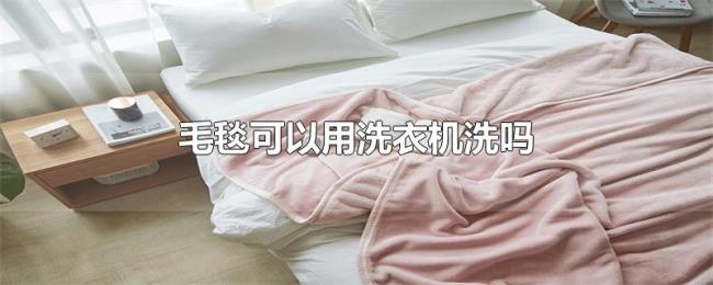毛毯可以用洗衣机洗吗