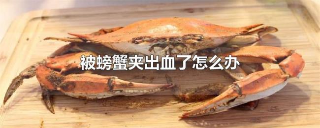 被螃蟹夹出血了怎么办