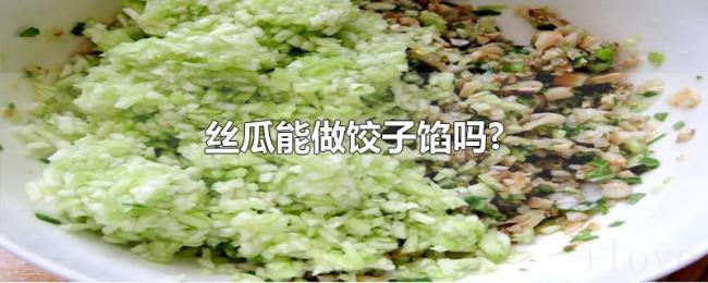 丝瓜能做饺子馅吗?