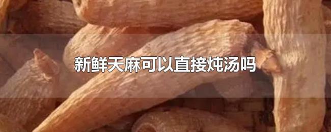 新鲜天麻可以直接炖汤吗