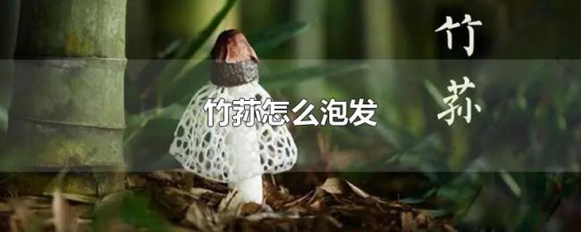 竹荪怎么泡发