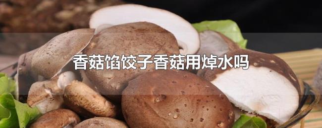 香菇馅饺子香菇用焯水吗