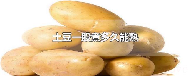 土豆一般煮多久能熟