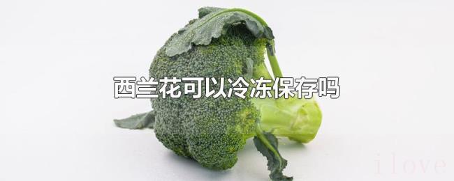 西兰花可以冷冻保存吗
