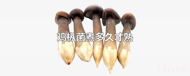 鸡枞菌煮多久才熟 鸡枞菌煮多久才熟