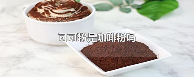 可可粉是咖啡粉吗 可可粉是咖啡粉吗
