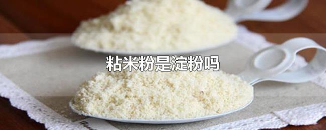 粘米粉是淀粉吗 粘米粉是淀粉吗