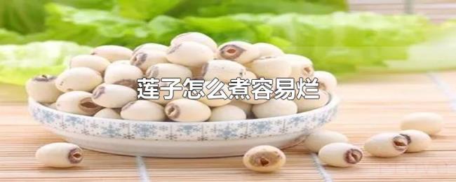 莲子怎么煮容易烂 莲子怎么煮容易烂