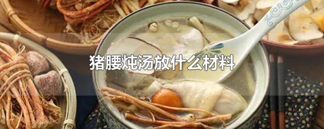 猪腰炖汤放什么材料