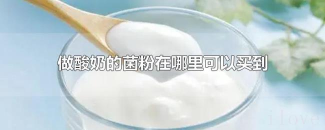 做酸奶的菌粉在哪里可以买到 做酸奶的菌粉在哪里可以买到