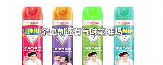 杀虫剂还有气味能睡吗 杀虫剂还有气味能睡吗