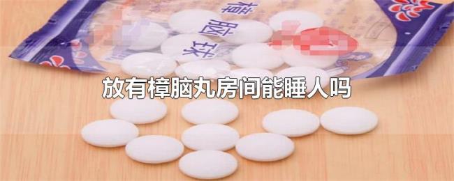 放有樟脑丸房间能睡人吗