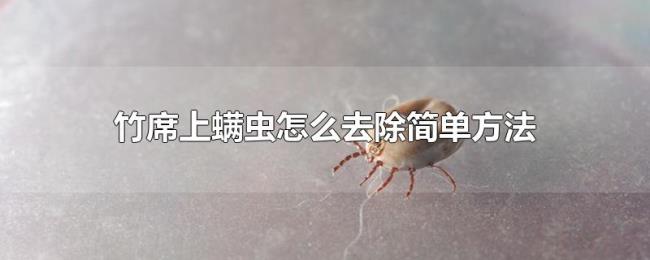 竹席上螨虫怎么去除简单方法 竹席上螨虫怎么去除简单方法
