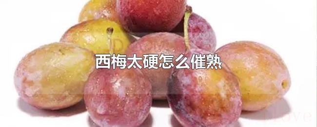 西梅太硬怎么催熟 西梅太硬怎么催熟