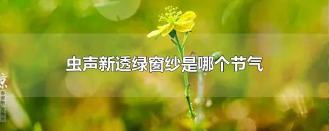 虫声新透绿窗纱是哪个节气 虫声新透绿窗纱是哪个节气