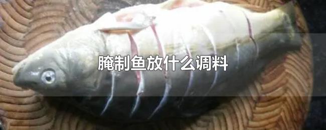 腌制鱼放什么调料 腌制鱼放什么调料
