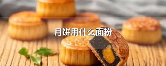 月饼用什么面粉 月饼用什么面粉