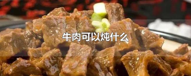 牛肉可以炖什么