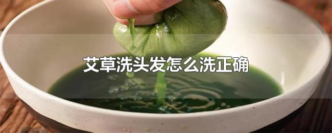 艾草洗头发怎么洗正确