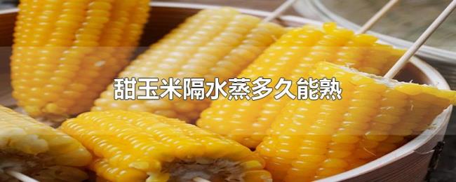 甜玉米隔水蒸多久能熟 甜玉米隔水蒸多久能熟