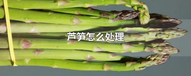 芦笋怎么处理