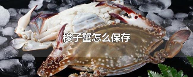 梭子蟹怎么保存
