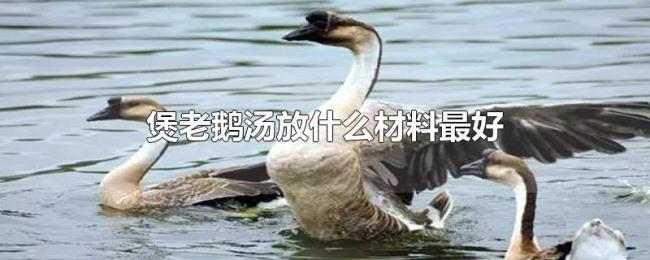 煲老鹅汤放什么材料最好 煲老鹅汤放什么材料最好