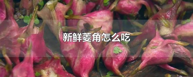 新鲜菱角怎么吃 新鲜菱角怎么吃