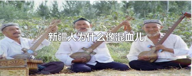 新疆人为什么像混血儿 新疆人为什么像混血儿
