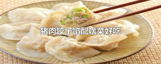 猪肉饺子馅配啥菜好吃 猪肉饺子馅配啥菜好吃