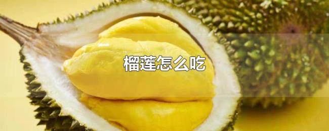 榴莲怎么吃 榴莲怎么吃