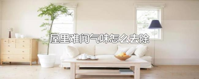 屋里难闻气味怎么去除 屋里难闻气味怎么去除