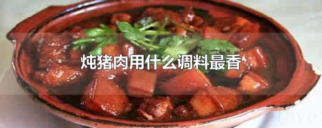 炖猪肉用什么调料最香 炖猪肉用什么调料最香