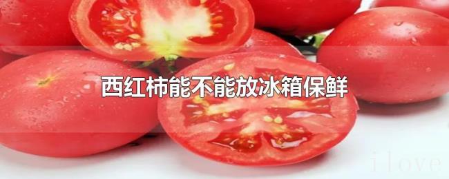西红柿能不能放冰箱保鲜 西红柿能不能放冰箱保鲜
