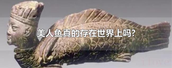 美人鱼真的存在世界上吗? 美人鱼真的存在世界上吗?