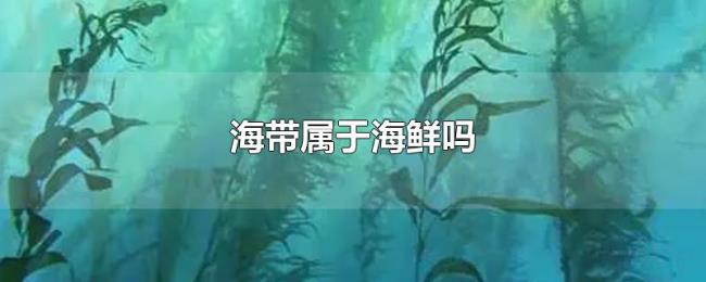 海带属于海鲜吗 海带属于海鲜吗