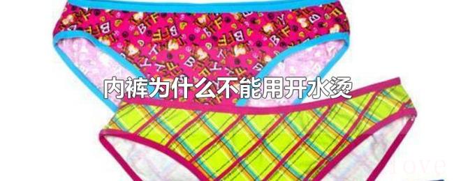 内裤为什么不能用开水烫 内裤为什么不能用开水烫
