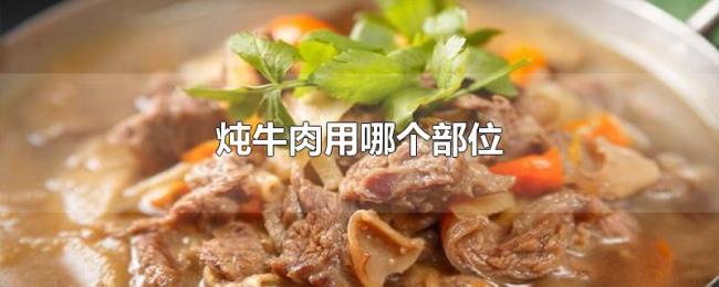 炖牛肉用哪个部位 炖牛肉用哪个部位