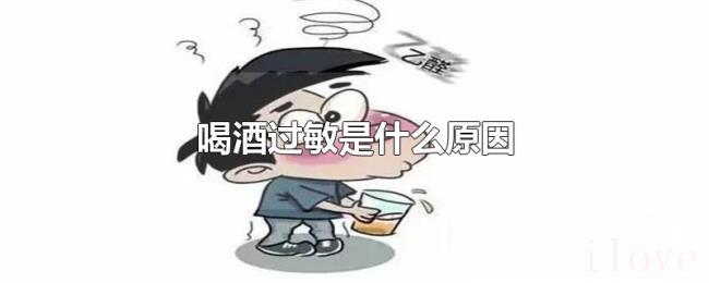 喝酒过敏是什么原因 喝酒过敏是什么原因