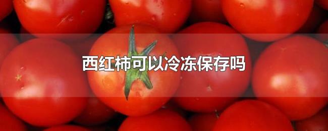 西红柿可以冷冻保存吗 西红柿可以冷冻保存吗