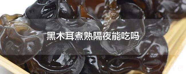 黑木耳煮熟隔夜能吃吗 黑木耳煮熟隔夜能吃吗