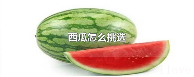 西瓜怎么挑选 西瓜怎么挑选