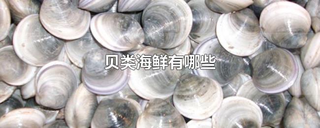 贝类海鲜有哪些 贝类海鲜有哪些